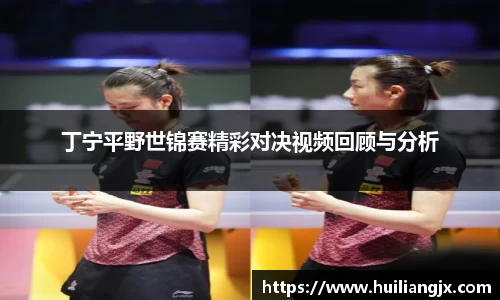 丁宁平野世锦赛精彩对决视频回顾与分析